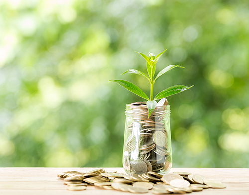 mengenal investasi: panduan lengkap bagi pemula - menuju kebebasan finansial